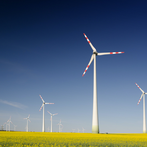 Windmolen